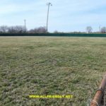 Midwest Academy Field Finished